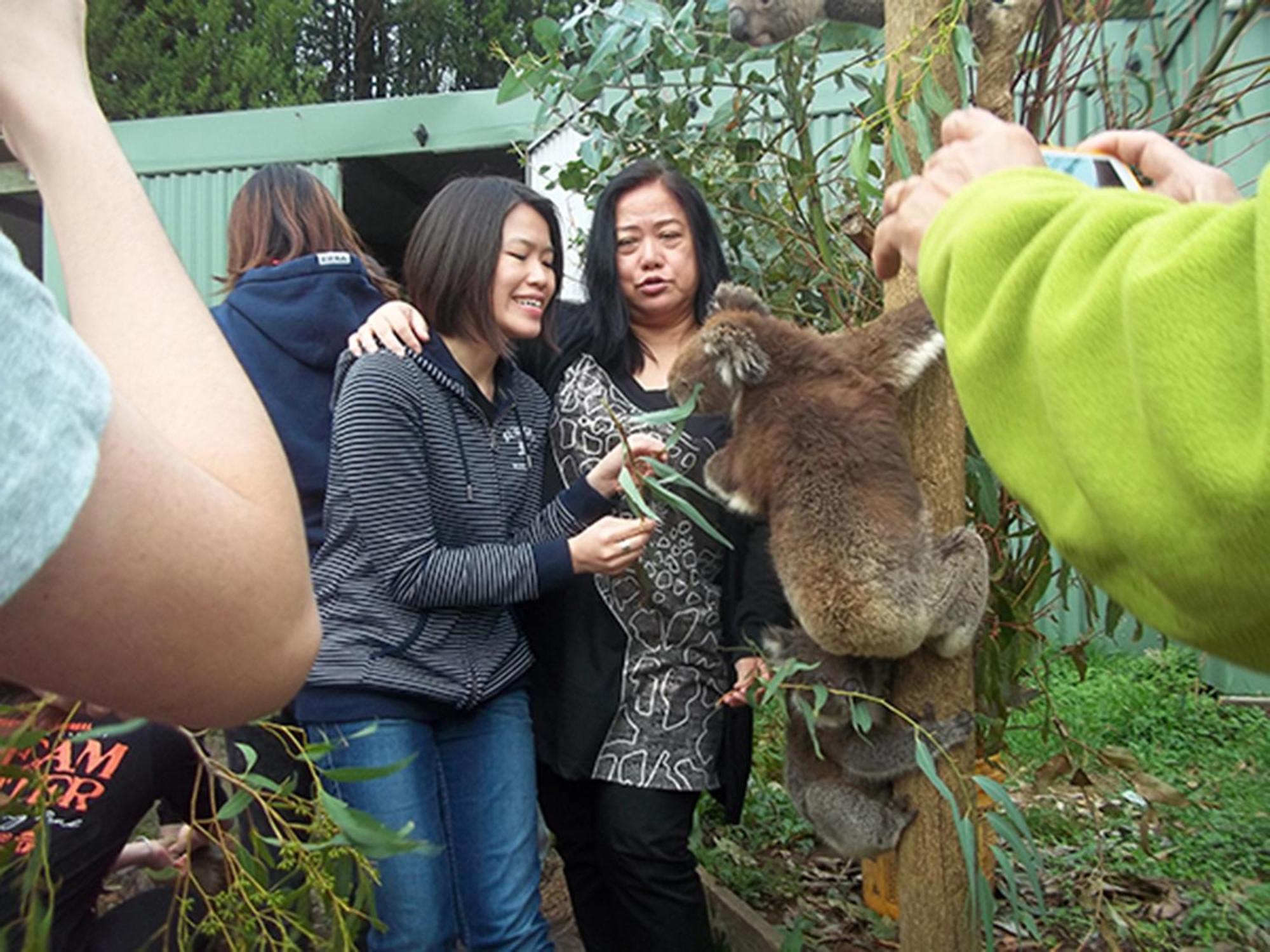 Fauna Australia Wildlife Retreat Lavers Hill Buitenkant foto