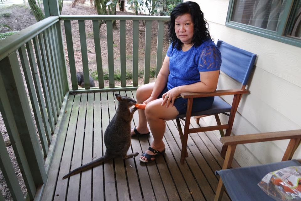 Fauna Australia Wildlife Retreat Lavers Hill Buitenkant foto