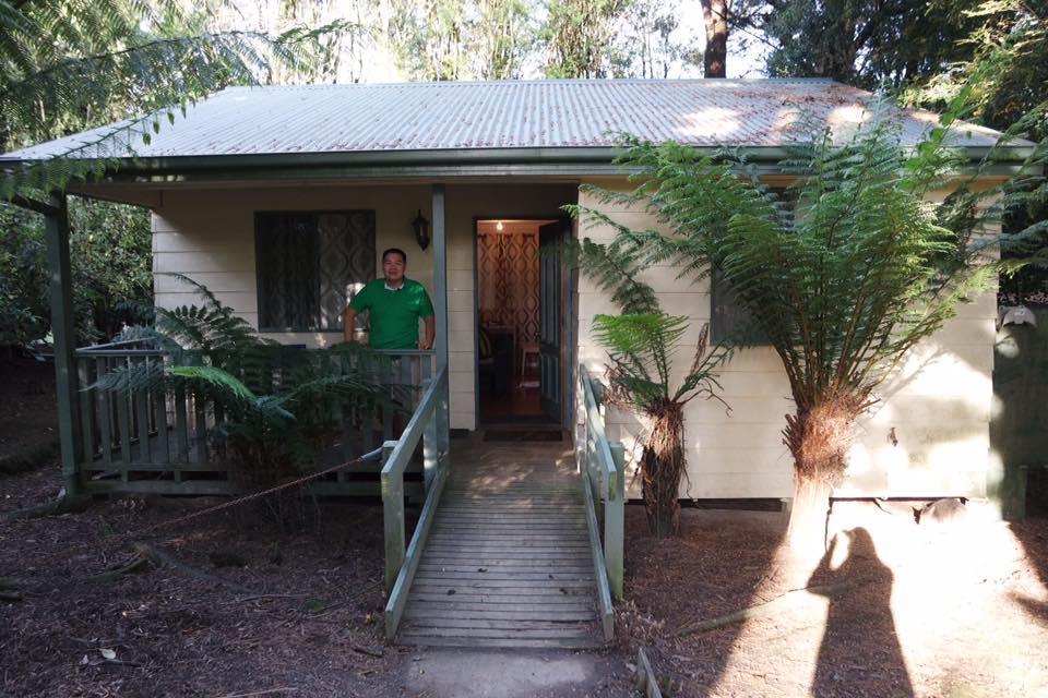 Fauna Australia Wildlife Retreat Lavers Hill Buitenkant foto