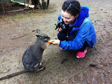 Fauna Australia Wildlife Retreat Lavers Hill Buitenkant foto