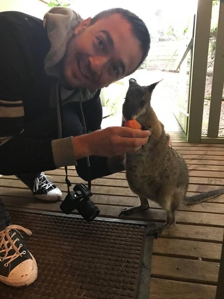 Fauna Australia Wildlife Retreat Lavers Hill Buitenkant foto