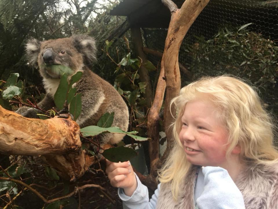 Fauna Australia Wildlife Retreat Lavers Hill Buitenkant foto